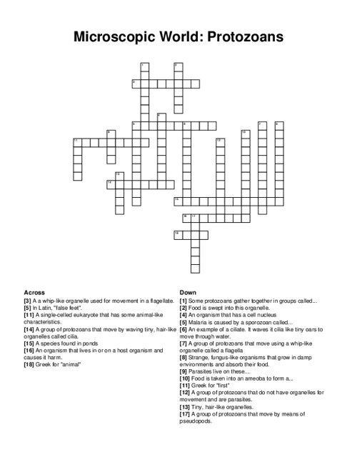 Microscopic World: Protozoans Crossword Puzzle