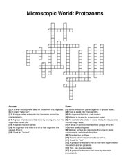 Microscopic World: Protozoans crossword puzzle