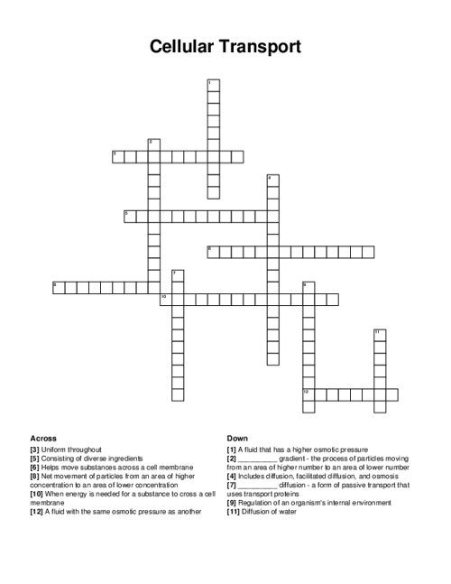 Cellular Transport Crossword Puzzle
