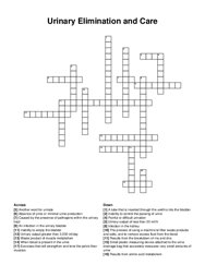 Urinary Elimination and Care crossword puzzle