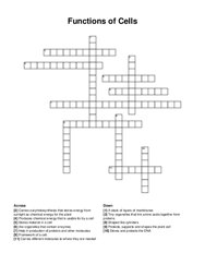 Functions of Cells crossword puzzle