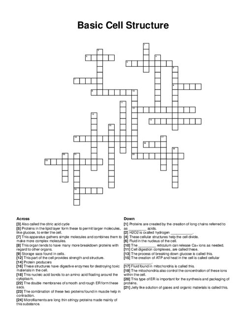 Basic Cell Structure Crossword Puzzle