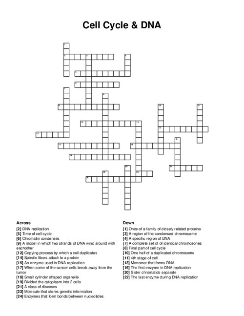 Cell Cycle & DNA Crossword Puzzle