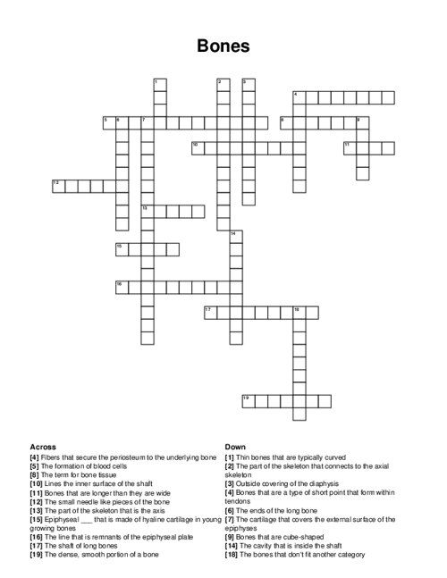 Bones Crossword Puzzle