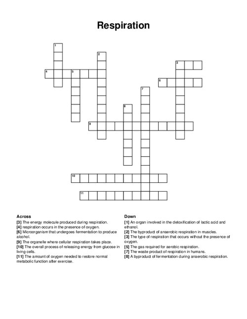 Respiration Crossword Puzzle