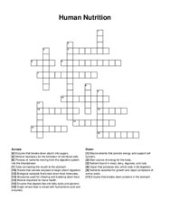 Human Nutrition crossword puzzle