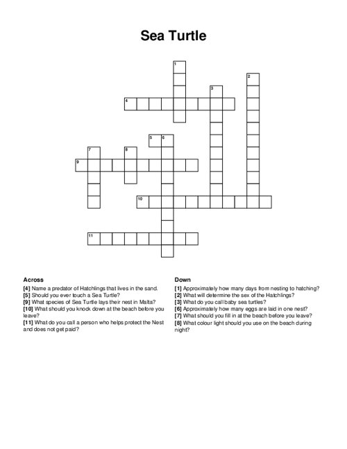 Sea Turtle Crossword Puzzle