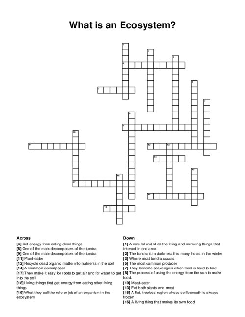 What is an Ecosystem? Crossword Puzzle