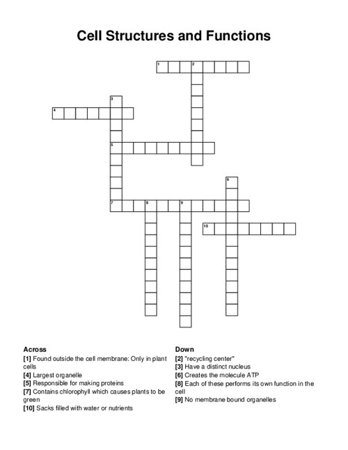 Cell Structures and Functions Crossword Puzzle