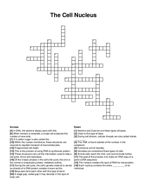 The Cell Nucleus Crossword Puzzle