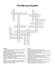 The Nervous System crossword puzzle