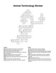Animal Terminology Review crossword puzzle