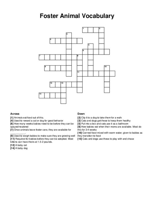 Foster Animal Vocabulary Crossword Puzzle