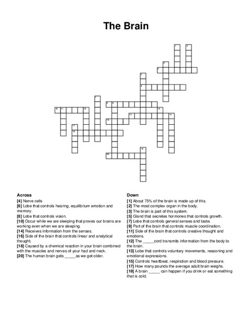 The Brain Crossword Puzzle