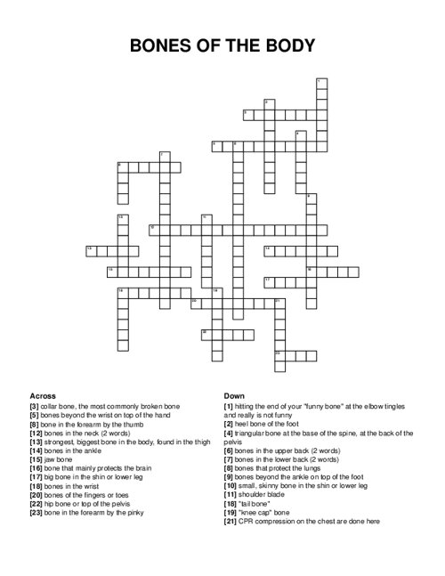 BONES OF THE BODY Crossword Puzzle