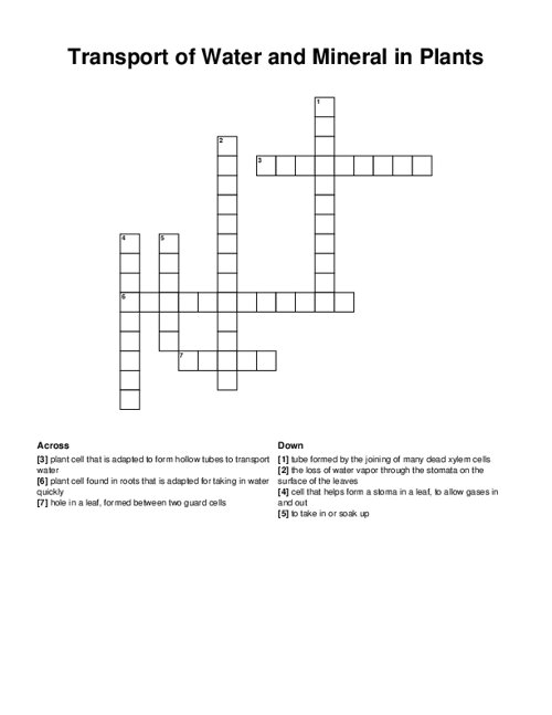 Transport of Water and Mineral in Plants Crossword Puzzle