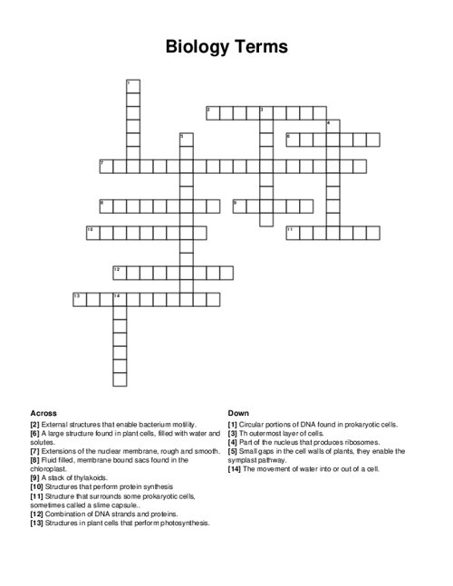 Biology Terms Crossword Puzzle
