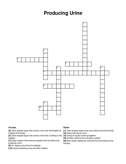 Producing Urine Crossword Puzzle