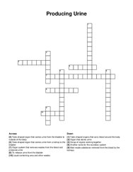 Producing Urine crossword puzzle