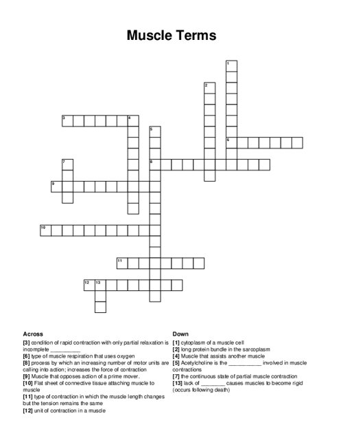 Muscle Terms Crossword Puzzle