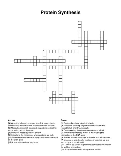 Protein Synthesis Crossword Puzzle