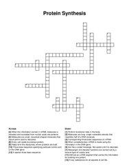 Protein Synthesis crossword puzzle