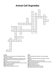 Animal Cell Organelles crossword puzzle