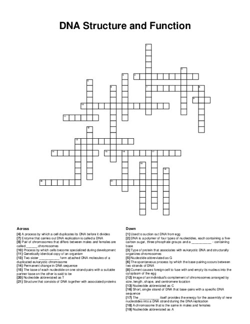 DNA Structure and Function Crossword Puzzle