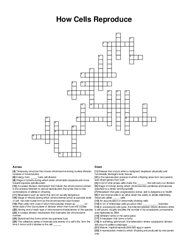 How Cells Reproduce crossword puzzle