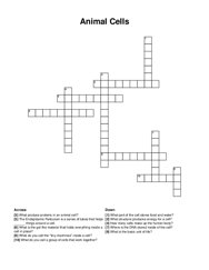 Animal Cells crossword puzzle