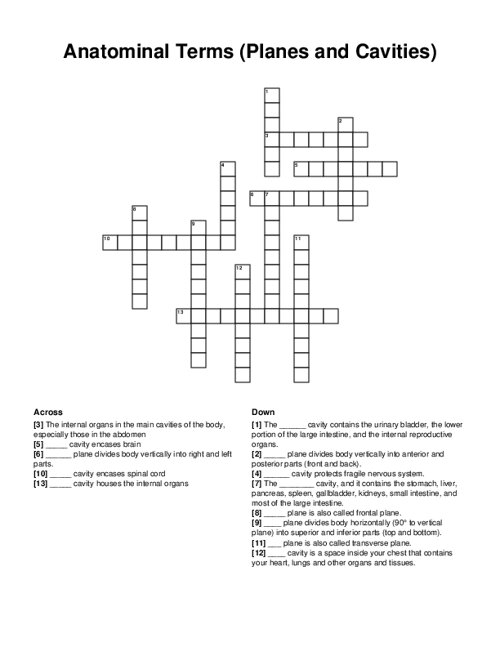 Anatominal Terms (Planes and Cavities) Crossword Puzzle