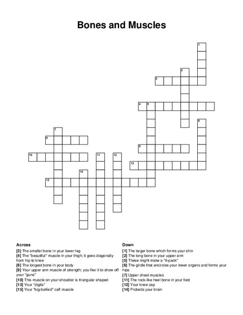 Bones and Muscles Crossword Puzzle