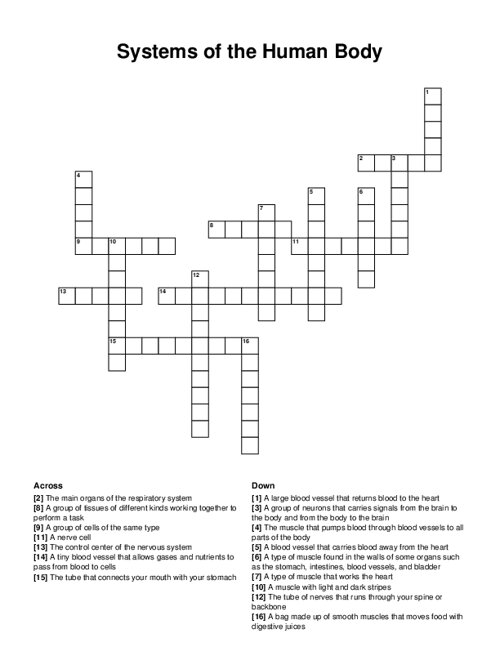 Systems of the Human Body Crossword Puzzle