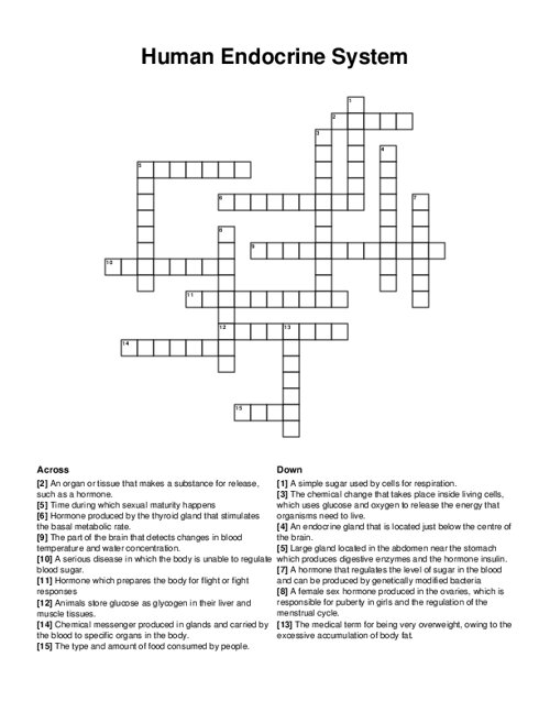 Human Endocrine System Crossword Puzzle