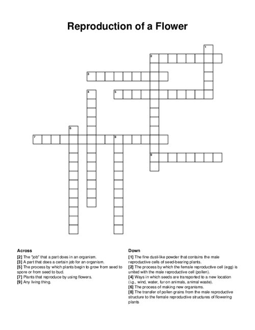 Reproduction of a Flower Crossword Puzzle
