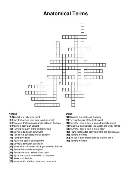 Anatomical Terms Crossword Puzzle