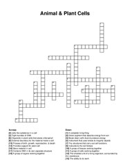 Animal & Plant Cells crossword puzzle