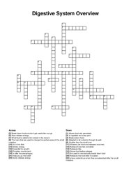 Digestive System Overview crossword puzzle