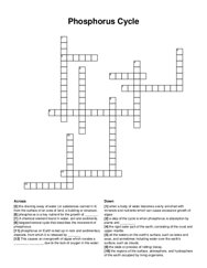 Phosphorus Cycle crossword puzzle