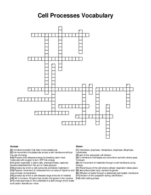 Cell Processes Vocabulary Crossword Puzzle