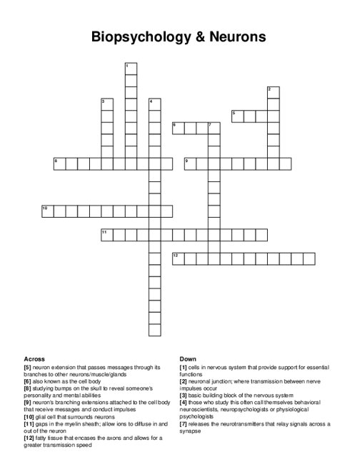 Biopsychology & Neurons Crossword Puzzle