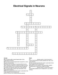 Electrical Signals in Neurons crossword puzzle