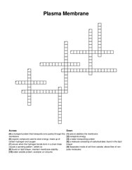 Plasma Membrane crossword puzzle