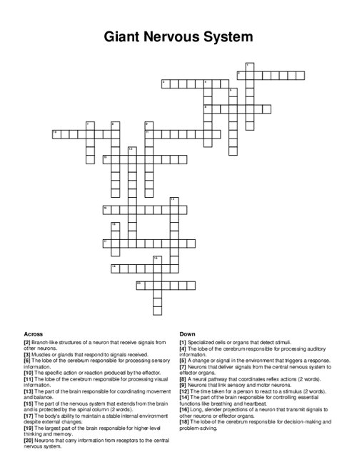 Giant Nervous System Crossword Puzzle