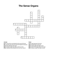 The Sense Organs crossword puzzle