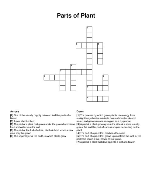 Parts of Plant Crossword Puzzle