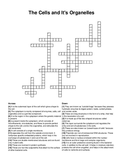 The Cells and Its Organelles Crossword Puzzle