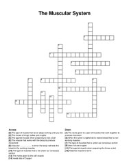 The Muscular System crossword puzzle