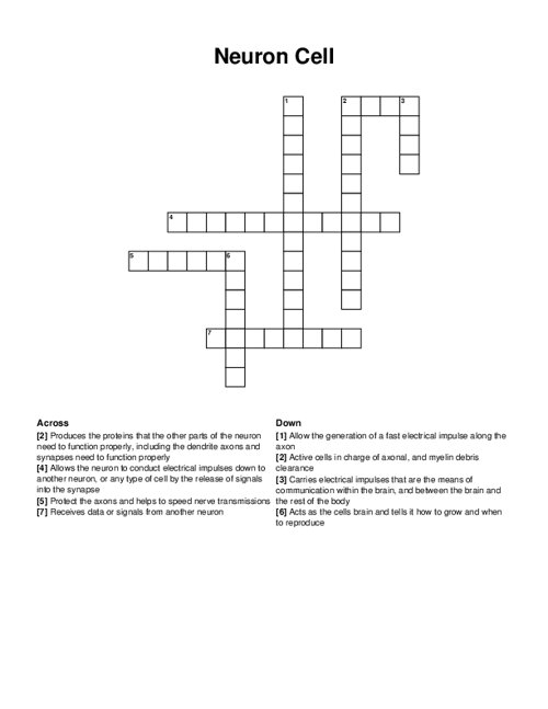 Neuron Cell Crossword Puzzle