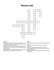 Neuron Cell crossword puzzle